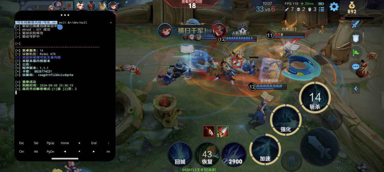 王者荣耀《坚果内部》外挂