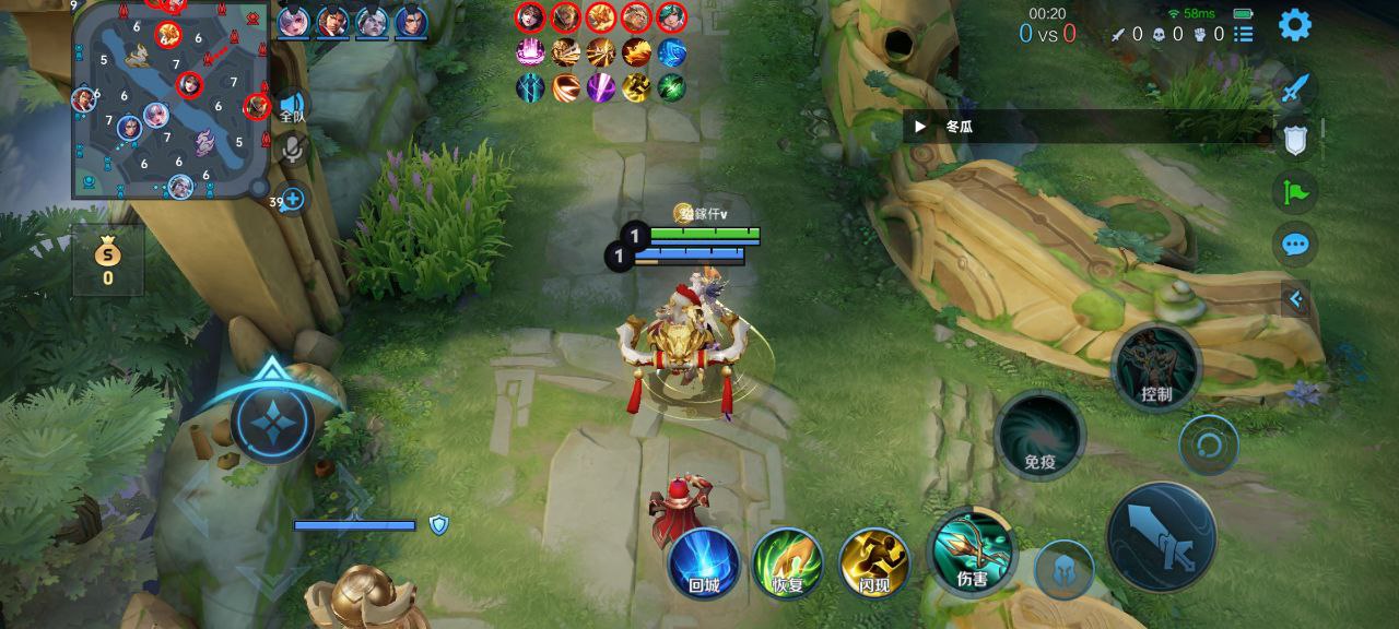 王者荣耀暗杀星辅助科技